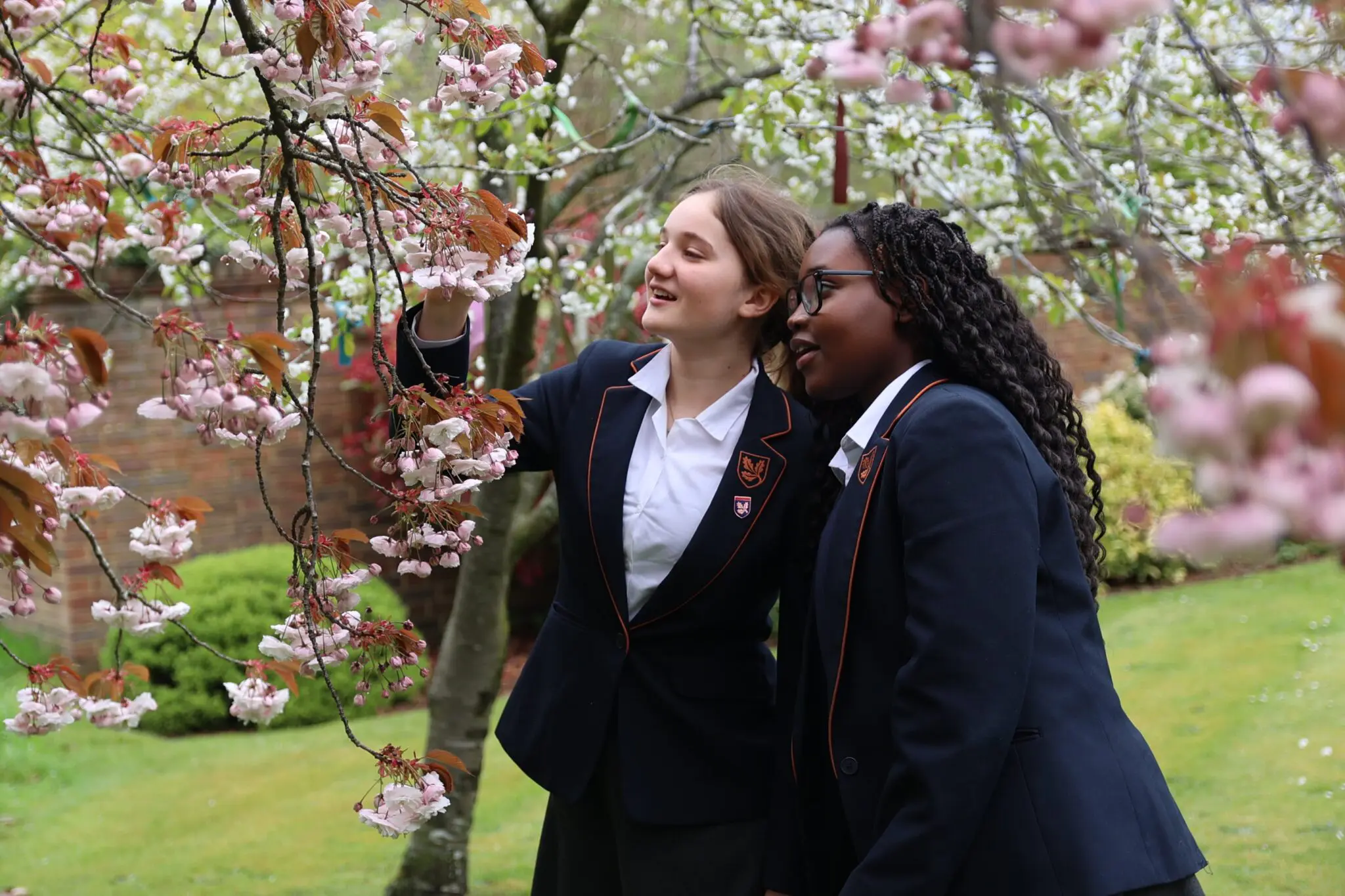 Students looking at tree blossom 